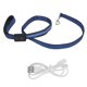 thumbnail image 1 of LED Dog Leash Telescopic Night Safety Luminous Dog Traction Rope for Small Medium DogsBlue, 1 of 1