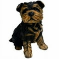 thumbnail image 1 of Michael Carr Designs MCD80091 Sergeant Yorkshire Terrier Puppy, Small, 1 of 3