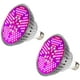 thumbnail image 1 of Paquete de 2 luces LED para cultivo de plantas de 100 W, bombilla LED de espectro completo para el crecimiento de plantas de interior en invernaderos de hortalizas e hidroponía, luces de cultivo, 1 of 4