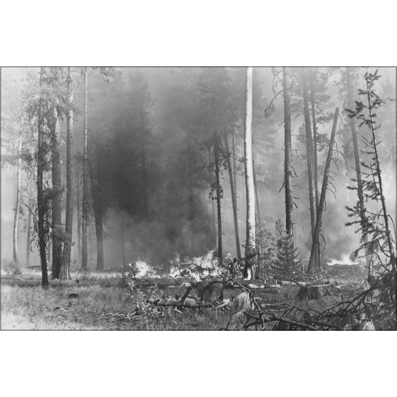 24"x36" Gallery Poster, Slash fire burning. Near the center of the picture can be seen Scaler Walter Moomaw 1943