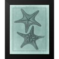 thumbnail image 2 of Vision Studio 20x24 Black Modern Framed Museum Art Print Titled - Spa Shell Collection VII, 2 of 5