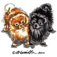 thumbnail image 3 of CafePress - Black Red Pomeranian Women's Dark Pajamas - Women's Short Sleeve Print T-Shirt and Pants Dark Cotton Pajama Set, 3 of 4