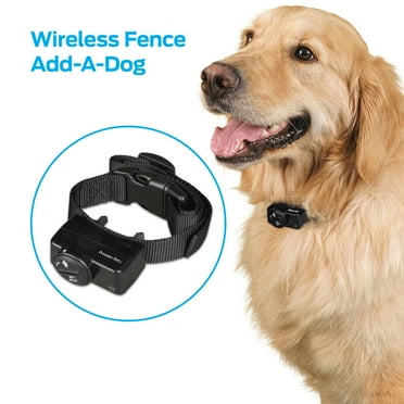 Premier Pet Wireless Add A Dog Adds Unlimited Dogs To Premier Pet Wireless Fence Additional Or Replacement Collar Adjustable Waterproof Tone Static Correction Low Battery Indicator Walmart Com Premier Pet Wireless Add A Dog Adds Unlimited Dogs To Premier Pet Wireless Fence Additional Or Replacement Collar Adjustable Waterproof Tone Static Correction Low Battery Indicator Walmart Com