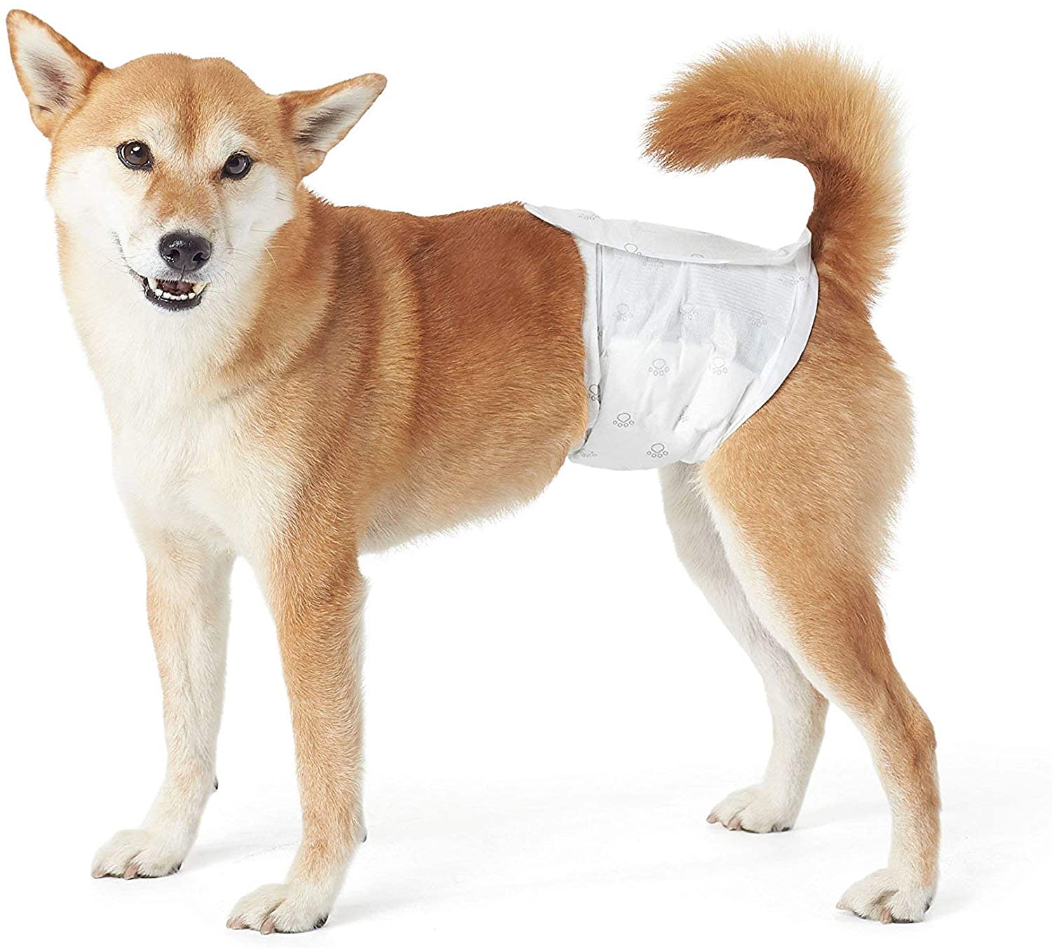 Walmart dog wraps Outlet