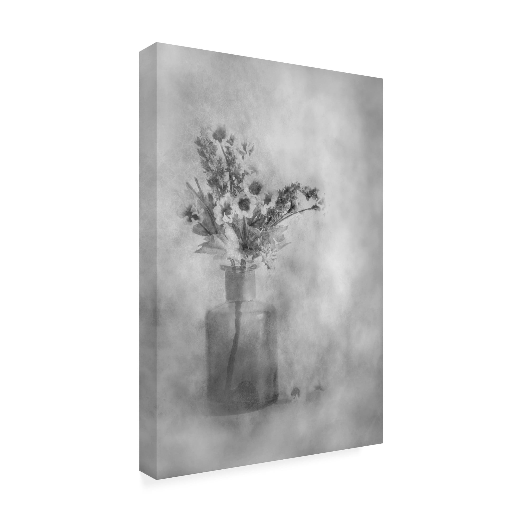 Canvas Wall Art - Cicek Kiral 'Faded' Wall Art for Living Room, Bedroom, or Office Décor by Trademark Fine Art - 16 x 24 Inches