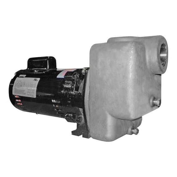 Dayton Self Priming Pump,1 HP,316 SS 5GUP2