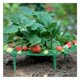 thumbnail image 5 of Marco de plantación Bolsas de plástico para plantar fresas Bolsa de fresas en crecimiento Soporte para soporte de fresas Bolsa de plantación de fresas verdes para plantar fresas, hierbas, 5 of 5