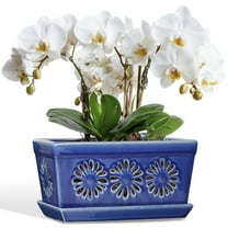 BUYMAX 10×5 inch Blue Floral Rectangle Ceramic Orchid Pot with Holes, Indoor Planter with Drainage and Saucer, Accommodates 2 Orchids