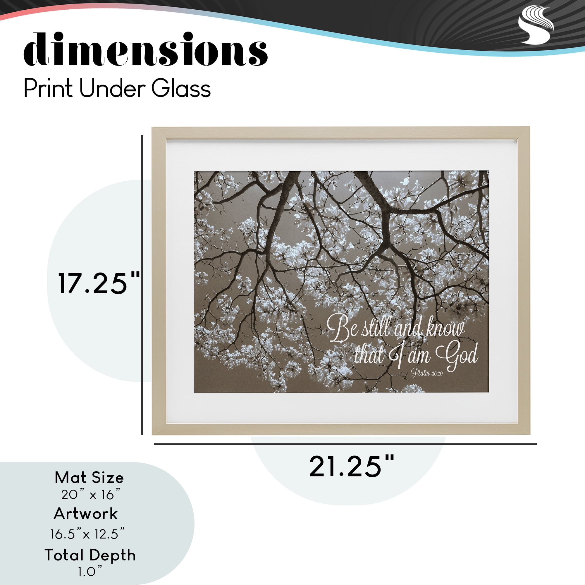 Stupell Industries Be Still Apple Blossoms Birch Framed Print Under Glass, design by Gail Peck