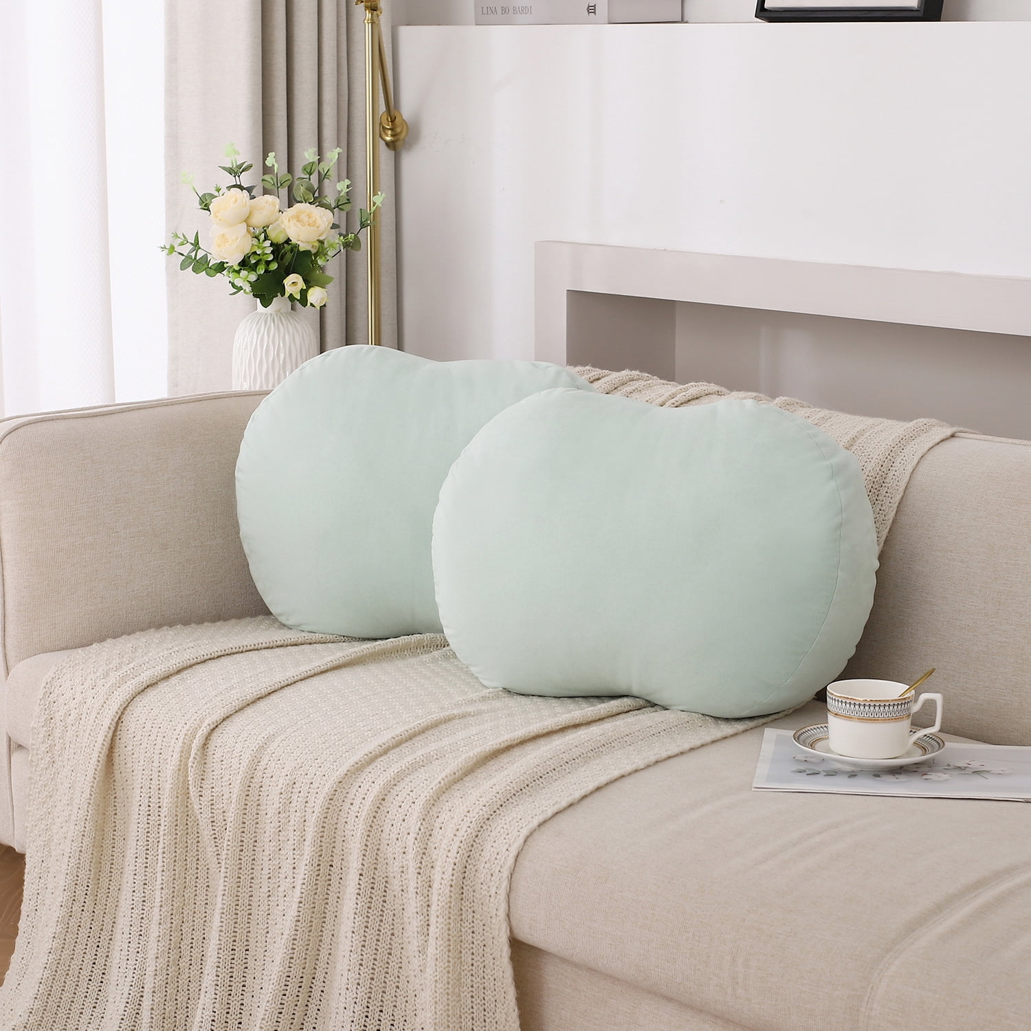 Set of 2 Super Soft Cute Aqua Decorative Throw Pillows