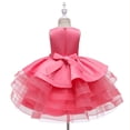 thumbnail image 5 of Flower Girls Dress for Wedding Children's Embroidery Ruffle Party Easter Tutu Dress, 5 of 5