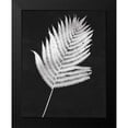 thumbnail image 2 of Rhue, Piper 20x24 Black Modern Framed Museum Art Print Titled - Nature by the Lake Ferns III Black Crop, 2 of 5
