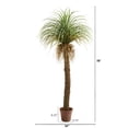 thumbnail image 2 of Nearly Natural 6.5ft. Molina Artificial Plant, 2 of 2