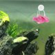thumbnail image 5 of 6 plantas artificiales para acuario: follaje de plástico realista con ventosa para la seguridad de los peces. Kit de paisajismo para acuarios de agua dulce para principiantes., 5 of 6