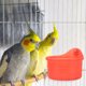thumbnail image 4 of unbranded Para De Pájaros Fácil De Limpiar Con Compacto Para Jaulas, 4 of 8