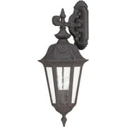 Nuvo 60/2032 Cortland Outdoor Lighting Lamps 11in Satin Iron Ore Seeded Mist