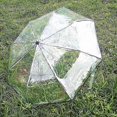 thumbnail image 3 of Transparent Folding Umbrella, Auto Windproof Rain Sun Umbrella A, 3 of 5