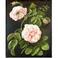 thumbnail image 1 of Great BIG Canvas | Rolled Johann Friedrich (1750-1812) Tischbein Poster Print entitled Flower Study, 1 of 4