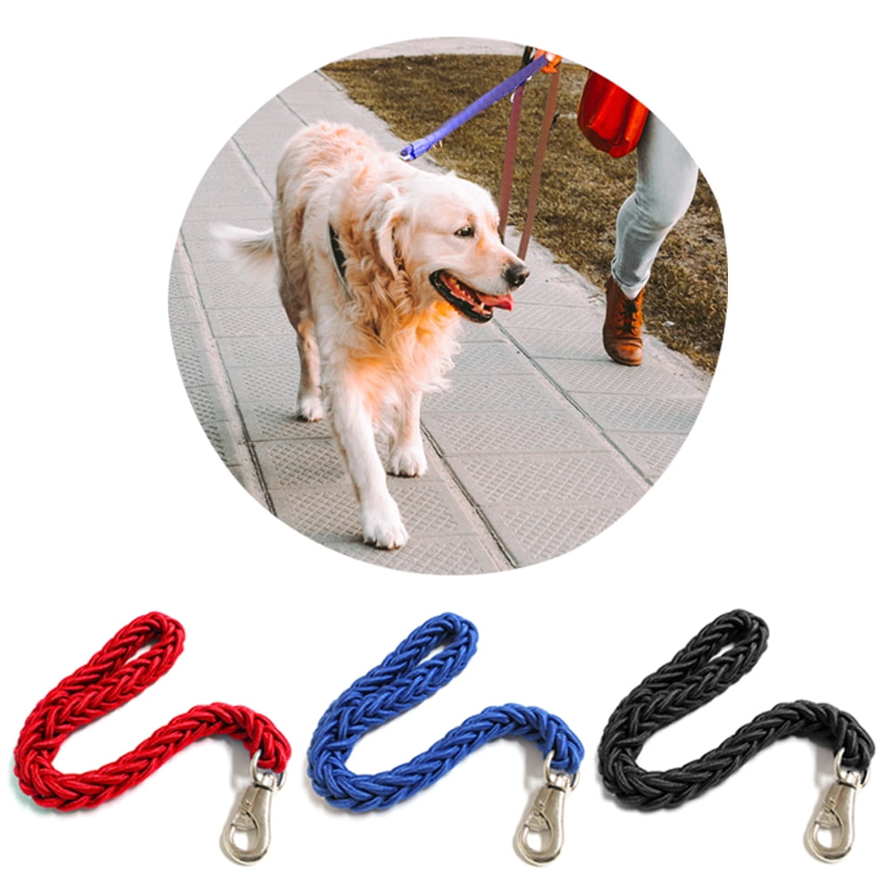 thick braided dog leash