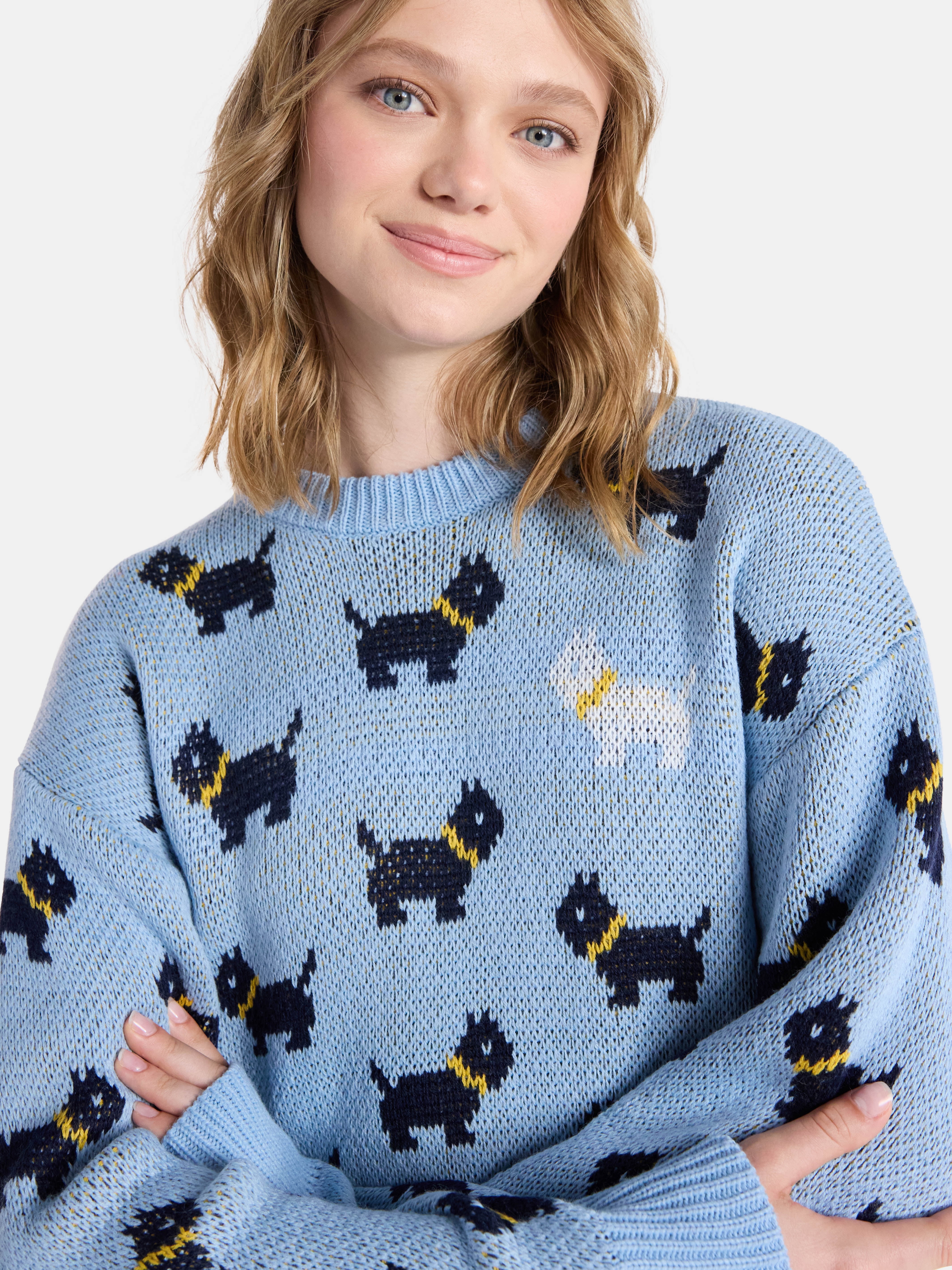 Netflix Stranger Things Scottie Dog Sweater from No Boundaries, Women's and Women’s Plus