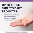 thumbnail image 2 of Metagenics Adrenogen - Adrenal Health Support - Raw Adrenal Complex - Aid in Hormone Balance* - With B Vitamins & PABA - Guaranteed Raw - Non-GMO - Gluten-Free - 90 Tablets, 2 of 7