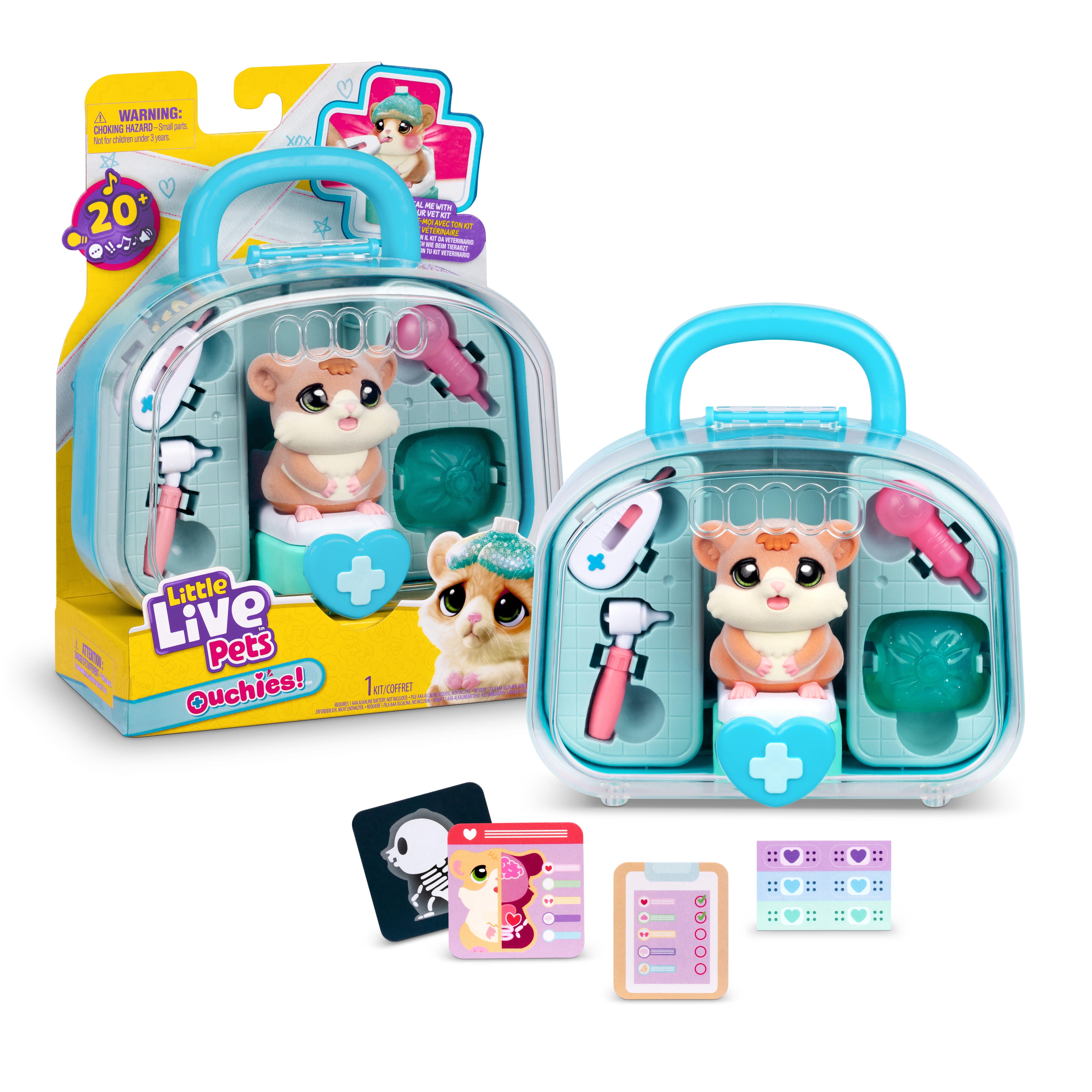 Kindi Kids Show N Tell Pets - Teah The Koala - 4