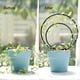 thumbnail image 3 of Premium Hoya Trellis - Unique Metal Plant Support for Climbing Plants - Set of 3 Different Sizes - Ideal for Indoor and Potted Plants, 3 of 5