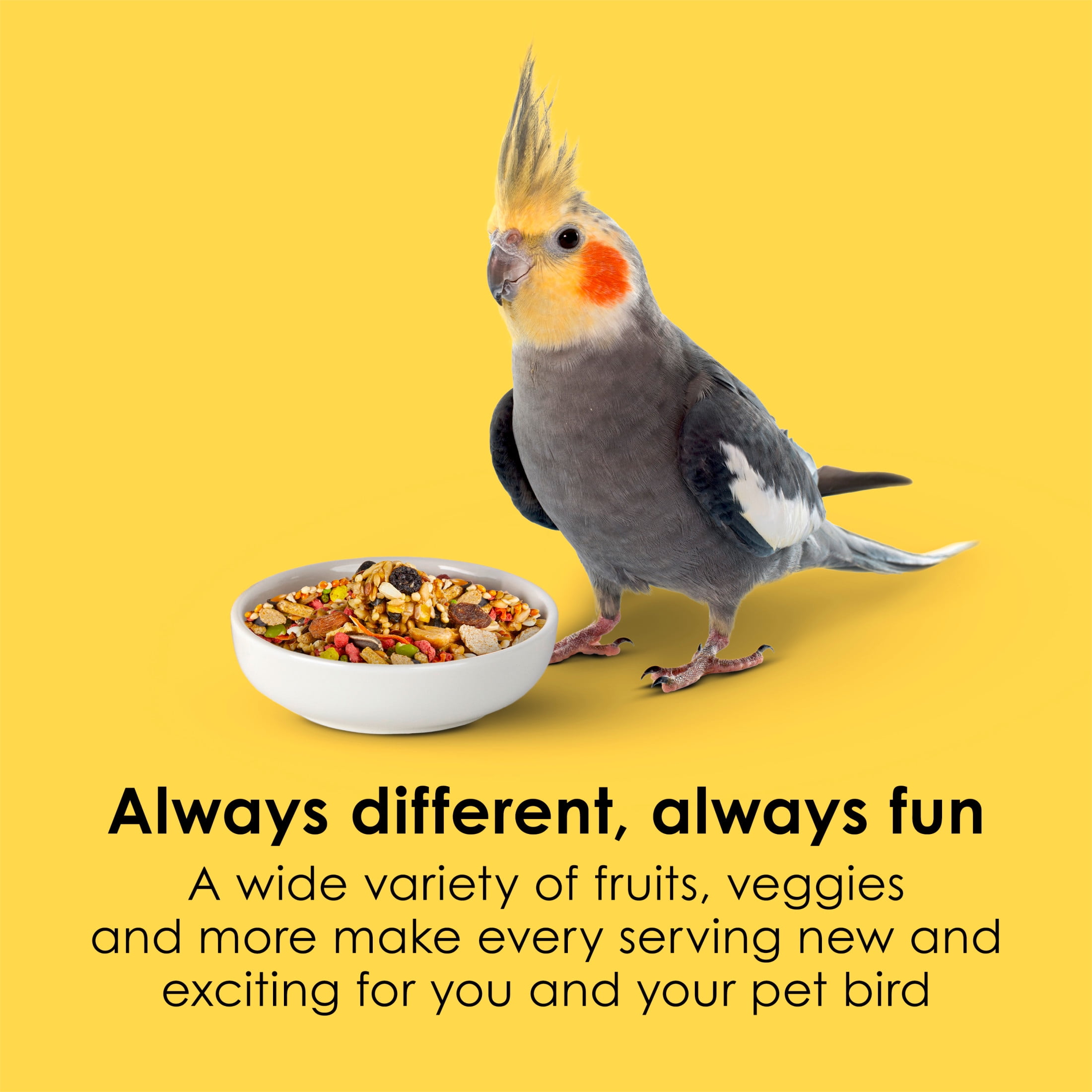 Kaytee Fiesta Cockatiel Food 25 Pounds