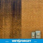 Wet & Forget Moss, Mold, Mildew, Algae Stain Remover Multi-Surface Outdoor Cleaner Concentrate, Original, 128 Fluid Ounces