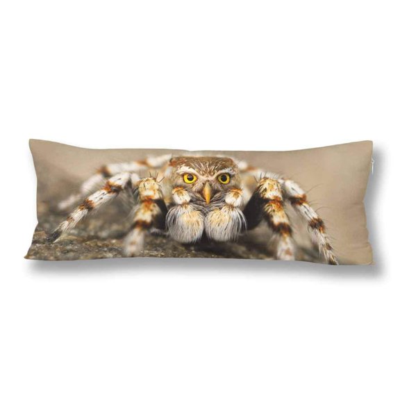 ABPHOTO Speule Body Pillow Covers Pillowcase Throw Pillows 20x60 inch