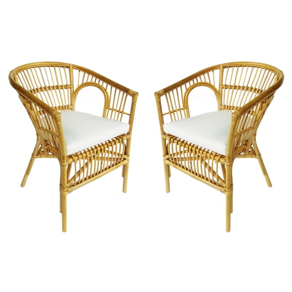 Cool Rattan Accent Chairs - Set of 2 Contemporary Living Room Seating