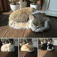 thumbnail image 3 of Realistic Sleeping Lifelike Cat Plush Fake Fur Life Size Furry House Animal, 3 of 5