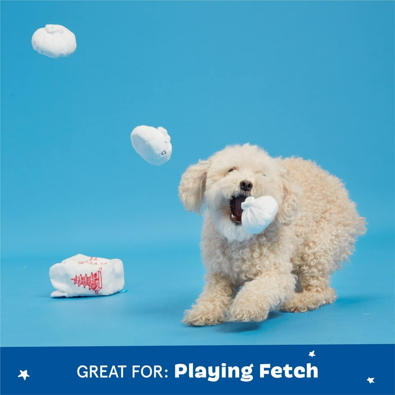 BARK Andi's Famous Dumplings Red White Chinese Food Dumpling Take