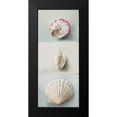 thumbnail image 2 of du Ciel, Milieu 8x14 Black Modern Framed Museum Art Print Titled - Shell selection IV, 2 of 5