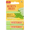 thumbnail image 1 of Burt's Bees 100% Natural Origin Moisturizing Lip Balm, Cucumber Mint 4.25 g, 1 of 1