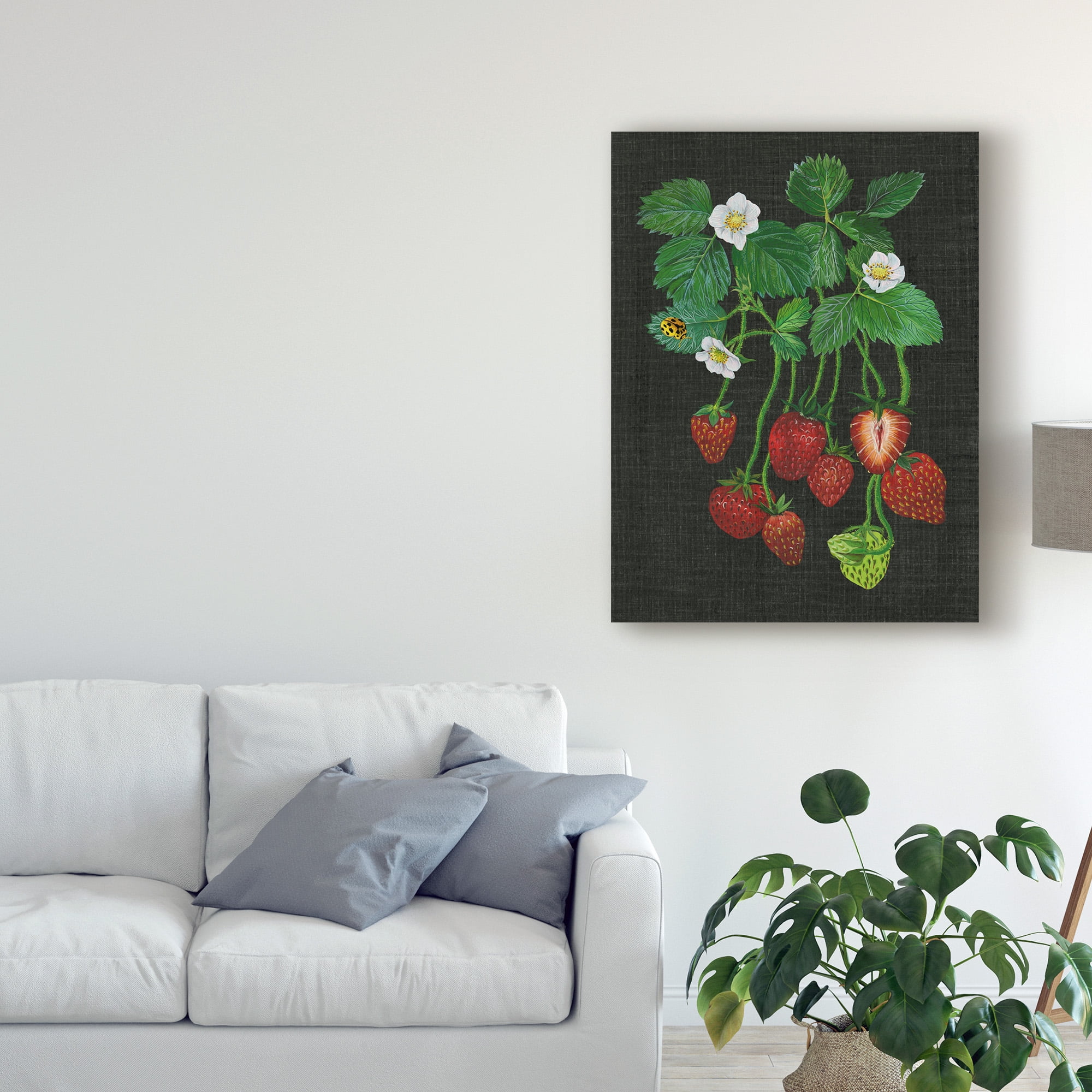 Trademark Fine Art 'Strawberry Fields II' Canvas Art by Melissa Wang