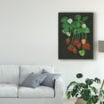 thumbnail image 3 of Trademark Fine Art 'Strawberry Fields II' Canvas Art by Melissa Wang, 3 of 4