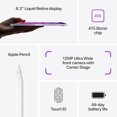 thumbnail image 5 of Restored Apple iPad Mini 6th Generation 64GB Wi-Fi (Space Grey) - Refurbsihed Fair, 5 of 5