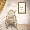 thumbnail image 3 of Blanchard, Emile 20x32 Gold Ornate Wood Framed with Double Matting Museum Art Print Titled - Buterflies, Plate 22, 3 of 4