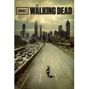 The Walking Dead Movie POSTER 11 x 17 Style P