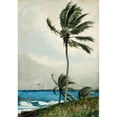 thumbnail image 2 of Winslow Homer 18x24 Gold Ornate Framed and Double Matted Museum Art Print Titled - Palm Tree, Nassau (1898), 2 of 4