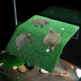 thumbnail image 4 of Miangastore Climbing Ladder Green 1Pack 8.65X7.86X2.04in, 4 of 8