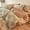 B, variant on Retro Pure Cotton 4-Piece Bedding Set - Vintage Elegance for Year-Round Comfort