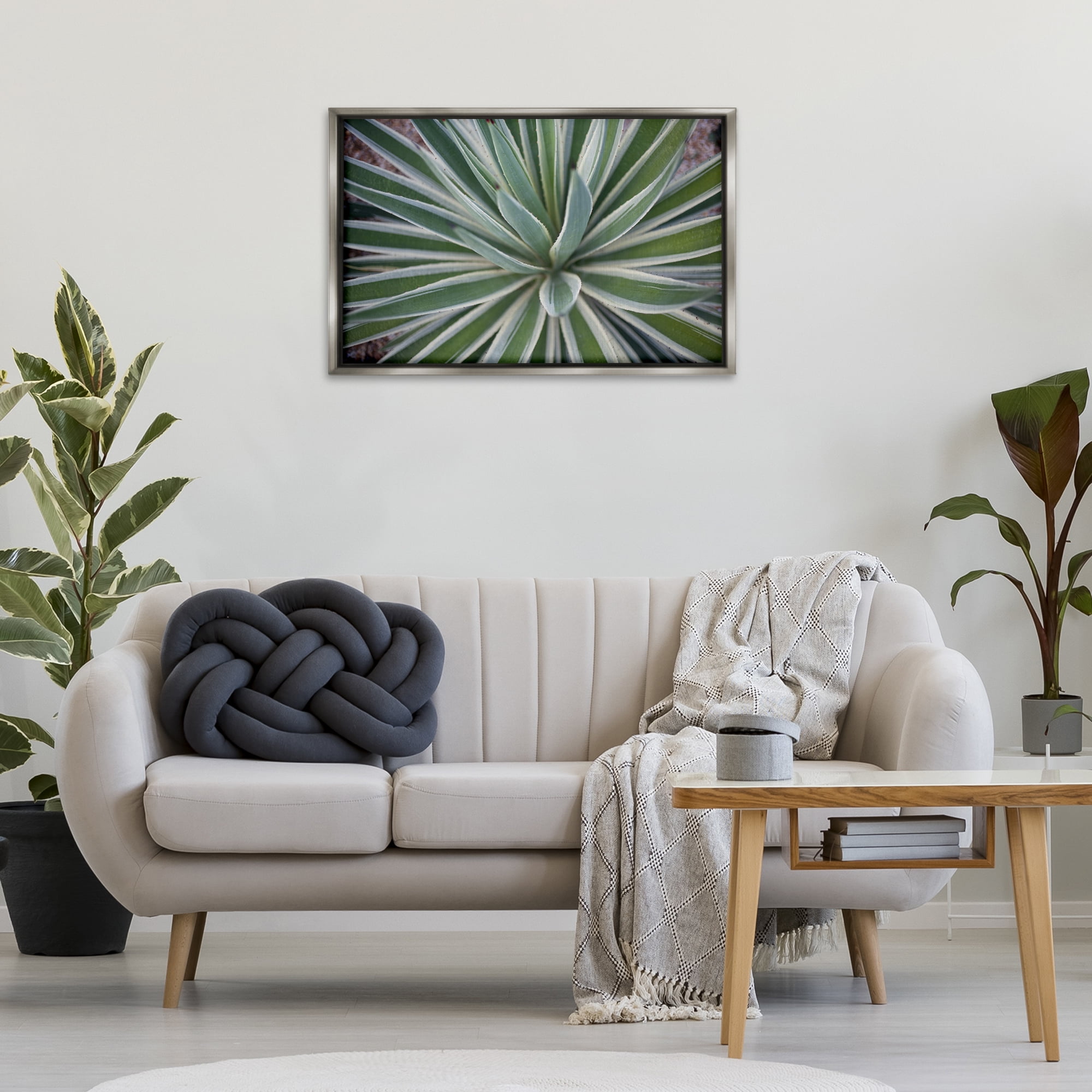 Stupell Industries Centric Succulent Leaves Botanical & Floral Photography Gray Floater Framed Canvas Art Print Wall Art, 31 x 21