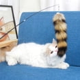 thumbnail image 2 of Palo Telescópico Wdftyju Juguete Interactivo de Pluma para Gato, 2 of 8