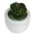 thumbnail image 3 of Northlight 2.75" Succulent Artificial Potted Plant Table Top Decoration - Green/White, 3 of 3