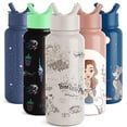 thumbnail image 2 of Botella de agua Simple Modern Disney Summit con aislamiento al vacío, 2 of 6