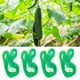 thumbnail image 2 of Red de enrejado para jardín, red de soporte para plantas trepadoras, red de cuerda flexible para exteriores para frijoles, guisantes, verduras y tomates, 2 of 6