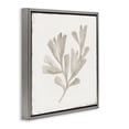 thumbnail image 3 of Stupell Industries Coral Reef Drift Gray Framed Floater Canvas Wall Art design by Lily K., 25 x 25, 3 of 9