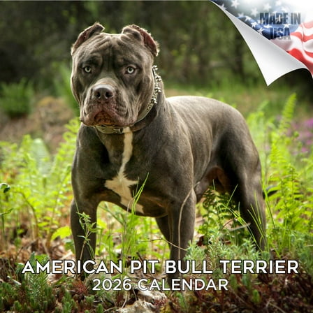 2025 2026 Pitbull Calendar - Dog Breed Monthly Wall Calendar - American Pitbulls Calendar - Made In USA - 12 x 24 Open - Academic Teacher's Planner Calendar for Organizing & Planning - Made in USA